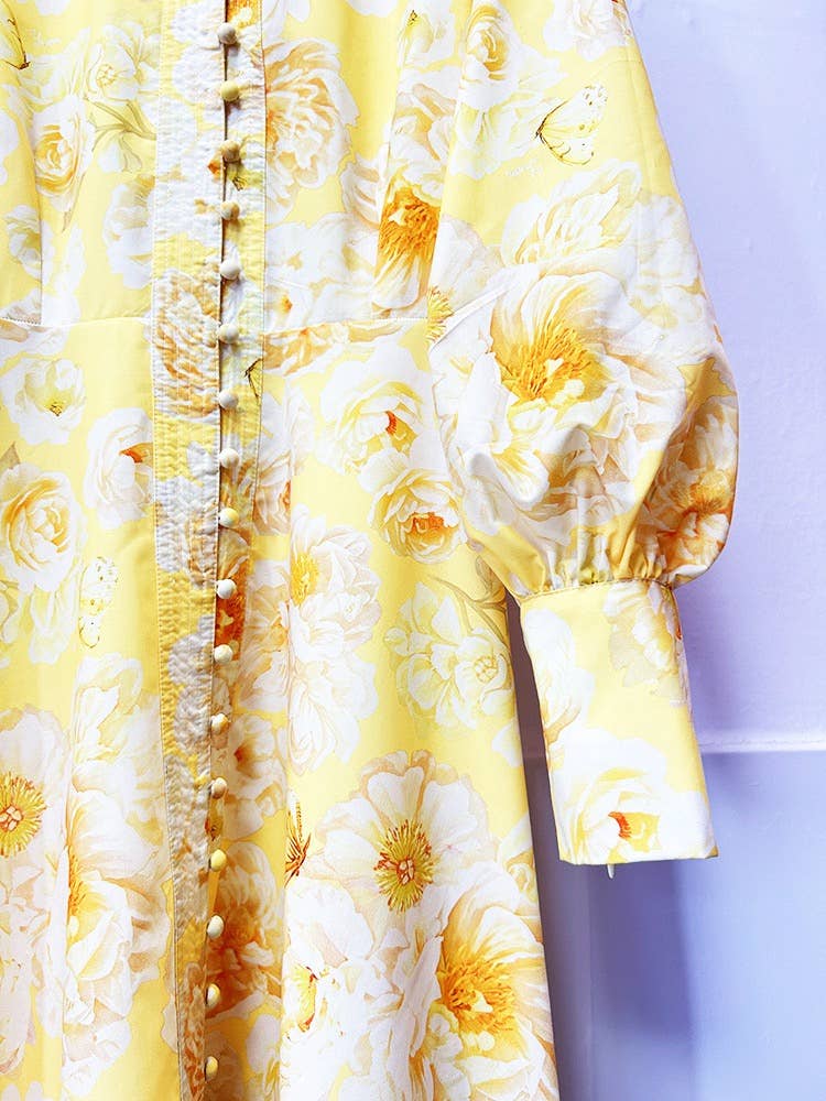Graceful Floral Print Lantern Sleeve Belted Dress